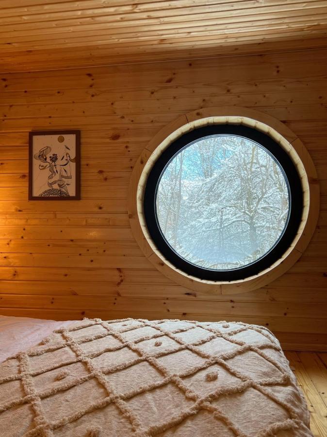 Moodysun Studio, Remote Tiny Home コマルニク エクステリア 写真